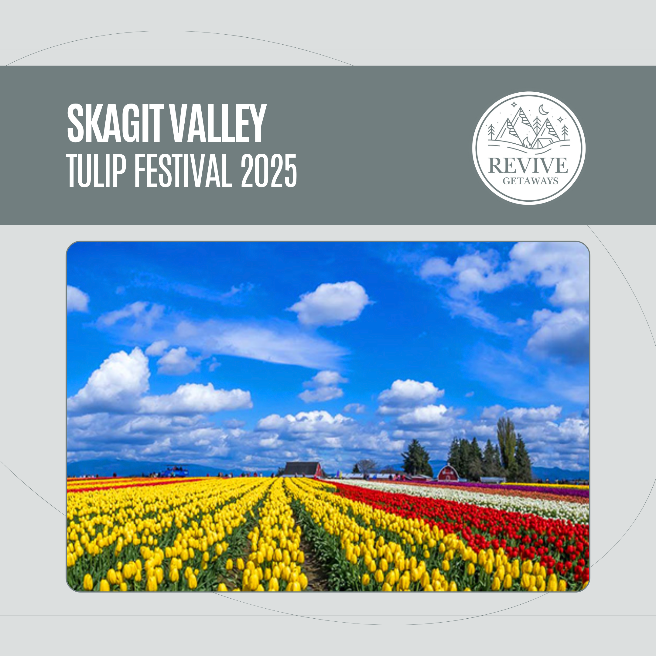 Ready to experience the beauty of Skagit Valley tulips up close? Enjoy the many events and attractions all through the month of April! Take a scenic trip through 250 acres of colorful blooms at the Skagit Valley Tulip Festival. Discover breathtaking landscapes, curated gardens and one-of-a-kind events. Each of our five participating gardens takes part!