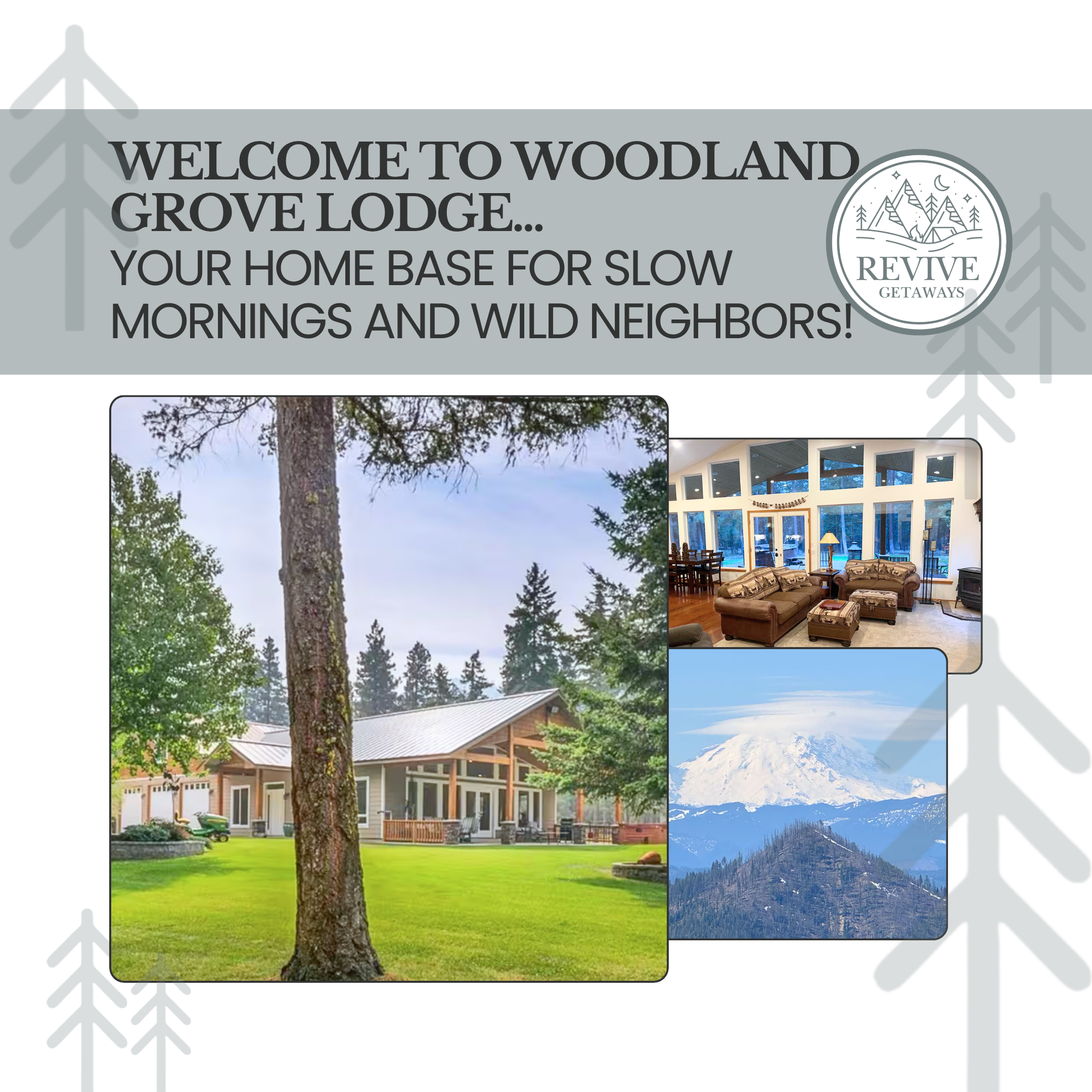 Woodland Grove Lodge in Cle Elum Washington with lake views and modern mountain cabin exterior surrounded by forest